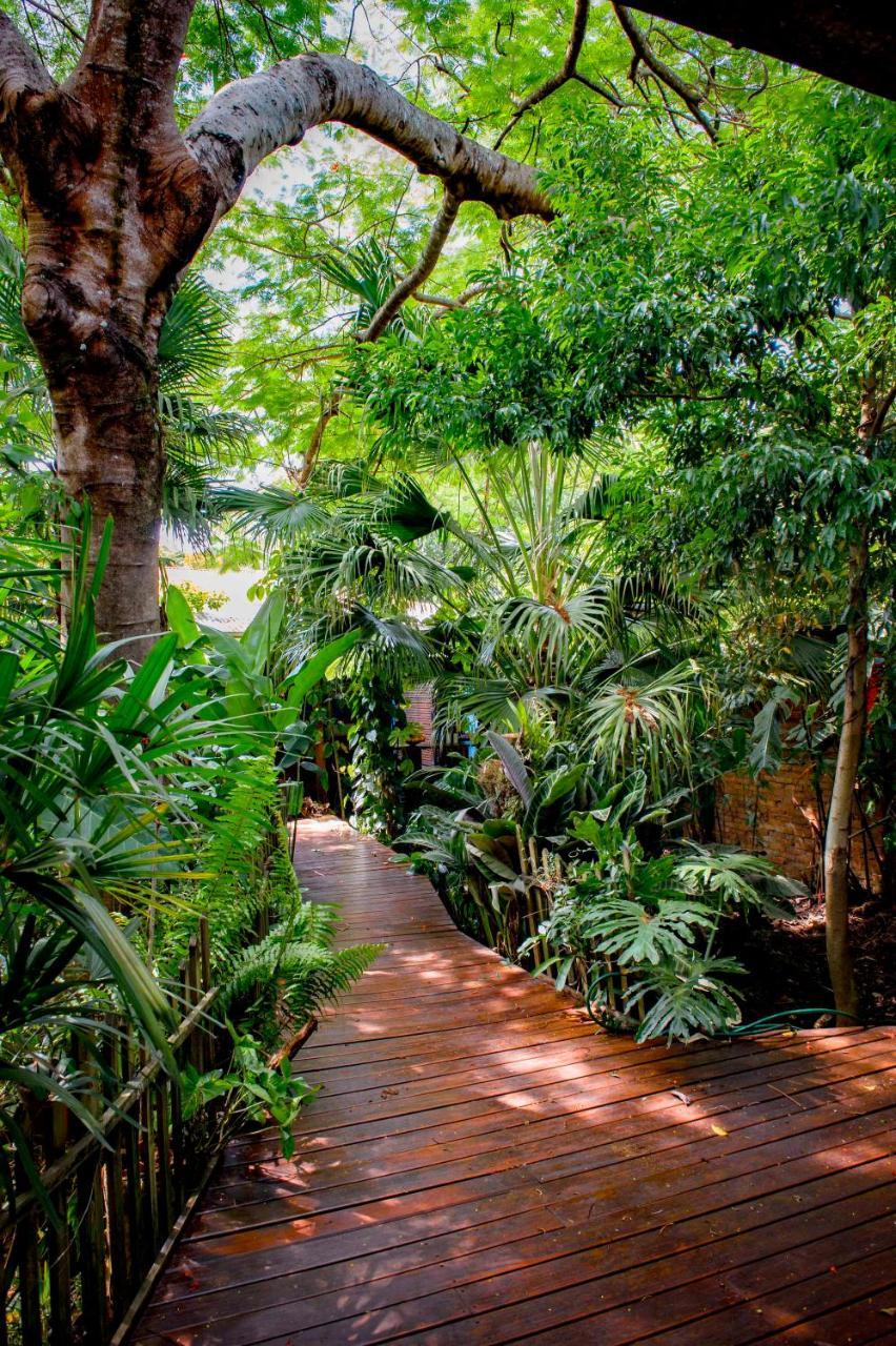 푸에르토이과수 Secret Garden Iguazu B&B 외부 사진
